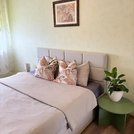 Linnupesa Daire Kiviõli